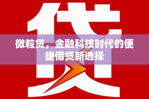 阆中微粒贷，金融科技时代的便捷借贷新选择