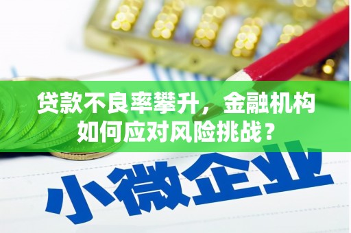 阆中贷款不良率攀升，金融机构如何应对风险挑战？