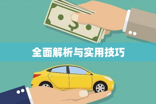 阆中全面解析与实用技巧