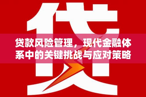 阆中贷款风险管理，现代金融体系中的关键挑战与应对策略