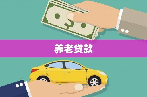 阆中养老贷款