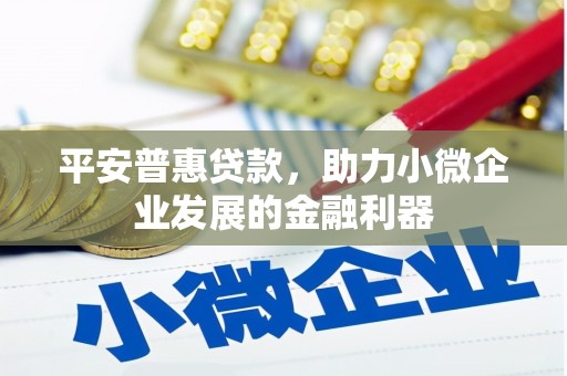 阆中平安普惠贷款，助力小微企业发展的金融利器