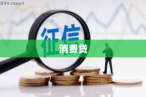 阆中消费贷