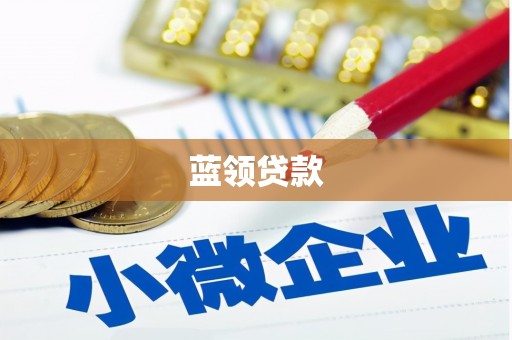 阆中蓝领贷款