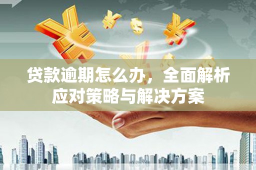 阆中贷款逾期怎么办，全面解析应对策略与解决方案