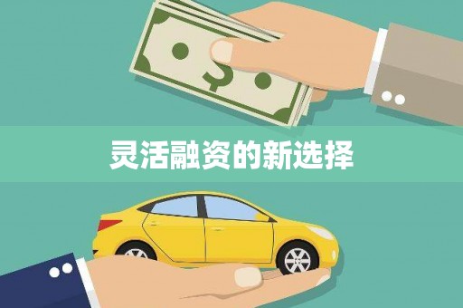 阆中灵活融资的新选择