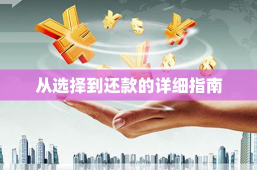 阆中从选择到还款的详细指南