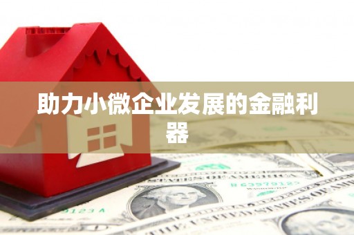 阆中助力小微企业发展的金融利器