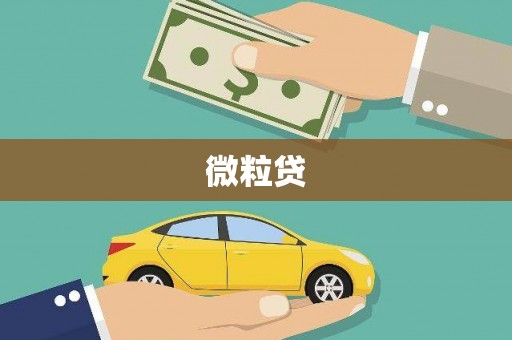 阆中微粒贷