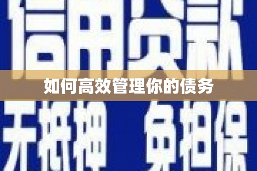 阆中如何高效管理你的债务