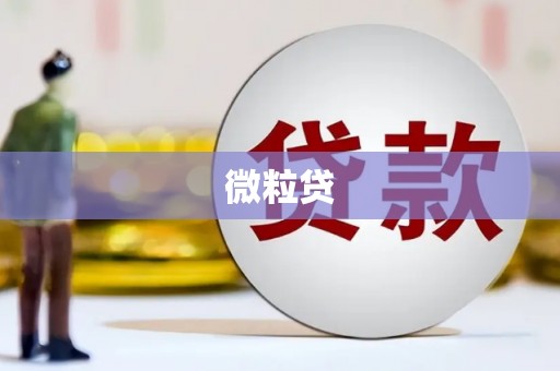 阆中微粒贷