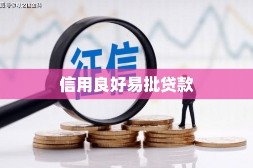 阆中信用良好易批贷款