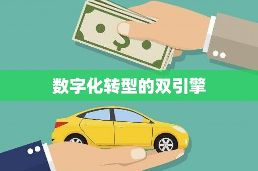 阆中数字化转型的双引擎