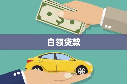阆中白领贷款