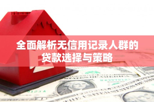 阆中全面解析无信用记录人群的贷款选择与策略