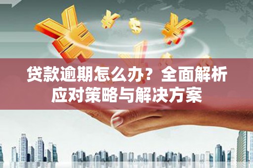 阆中贷款逾期怎么办？全面解析应对策略与解决方案