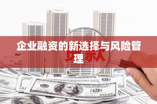 阆中企业融资的新选择与风险管理