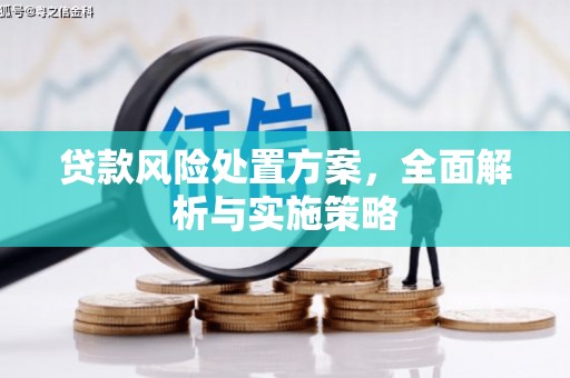 阆中贷款风险处置方案，全面解析与实施策略
