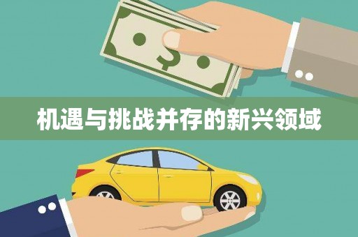 阆中机遇与挑战并存的新兴领域