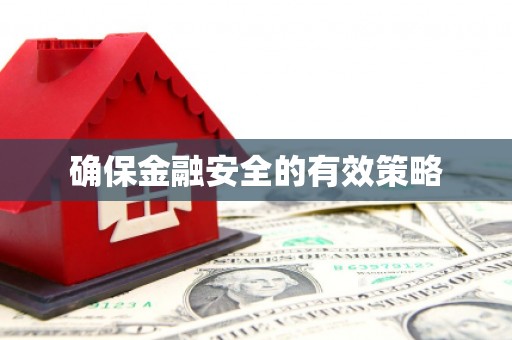 阆中确保金融安全的有效策略