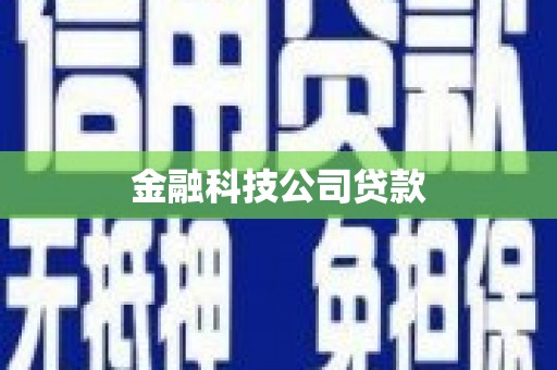 阆中金融科技公司贷款
