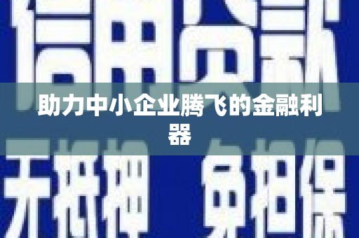 阆中助力中小企业腾飞的金融利器