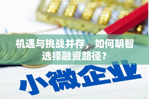 阆中机遇与挑战并存，如何明智选择融资路径？