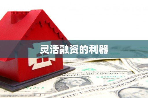阆中灵活融资的利器