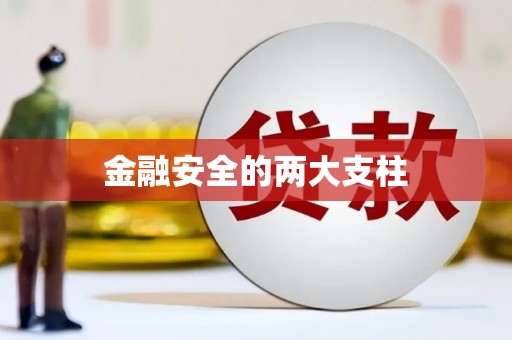 阆中金融安全的两大支柱