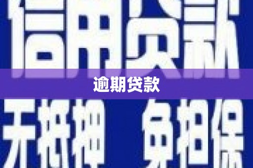 阆中逾期贷款