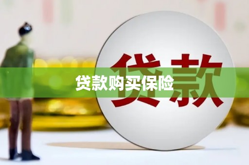 阆中贷款购买保险