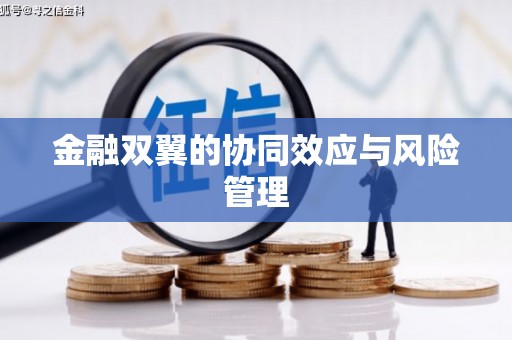 阆中金融双翼的协同效应与风险管理