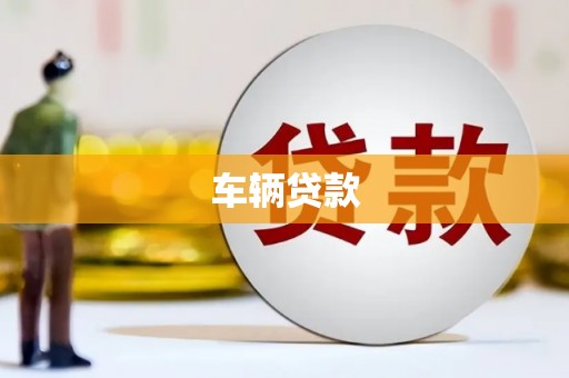 阆中车辆贷款