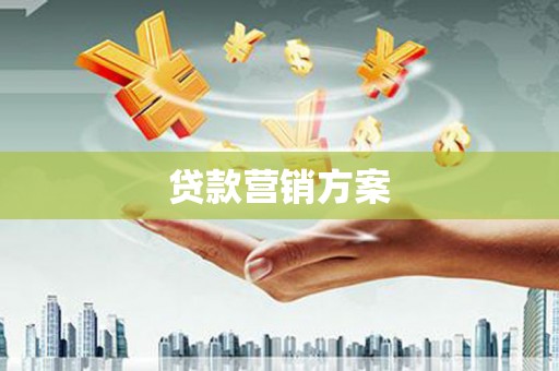 阆中贷款营销方案