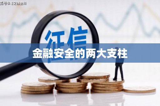 阆中金融安全的两大支柱