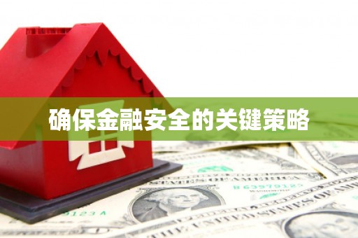 阆中确保金融安全的关键策略
