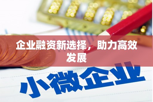 阆中企业融资新选择，助力高效发展