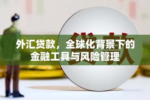 阆中外汇贷款，全球化背景下的金融工具与风险管理