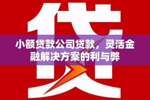 阆中小额贷款公司贷款，灵活金融解决方案的利与弊