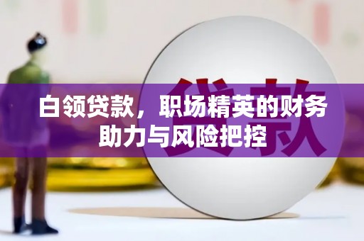 阆中白领贷款,职场精英的财务助力与风险把控 阆中白领贷款,职场精英的财务助力与风险把控